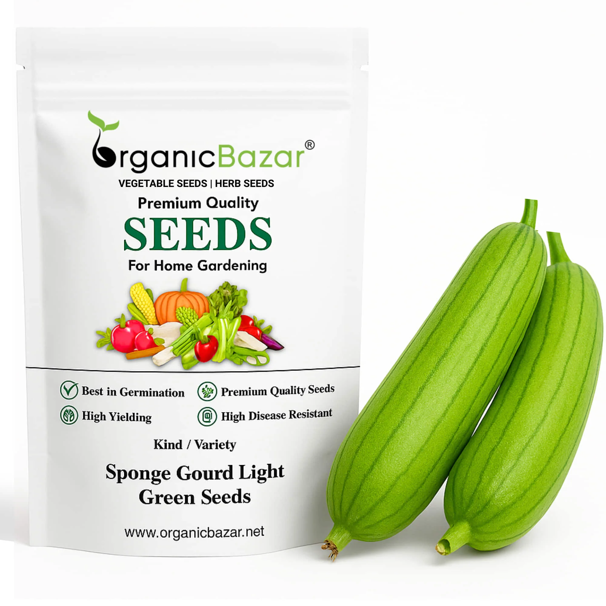 Sponge Gourd Light Green Seeds - 12 Seeds (Luffa/Gilki/गिलकी के बीज) Easy To grow, High Germination, High Yield Seeds for Home Gardening
