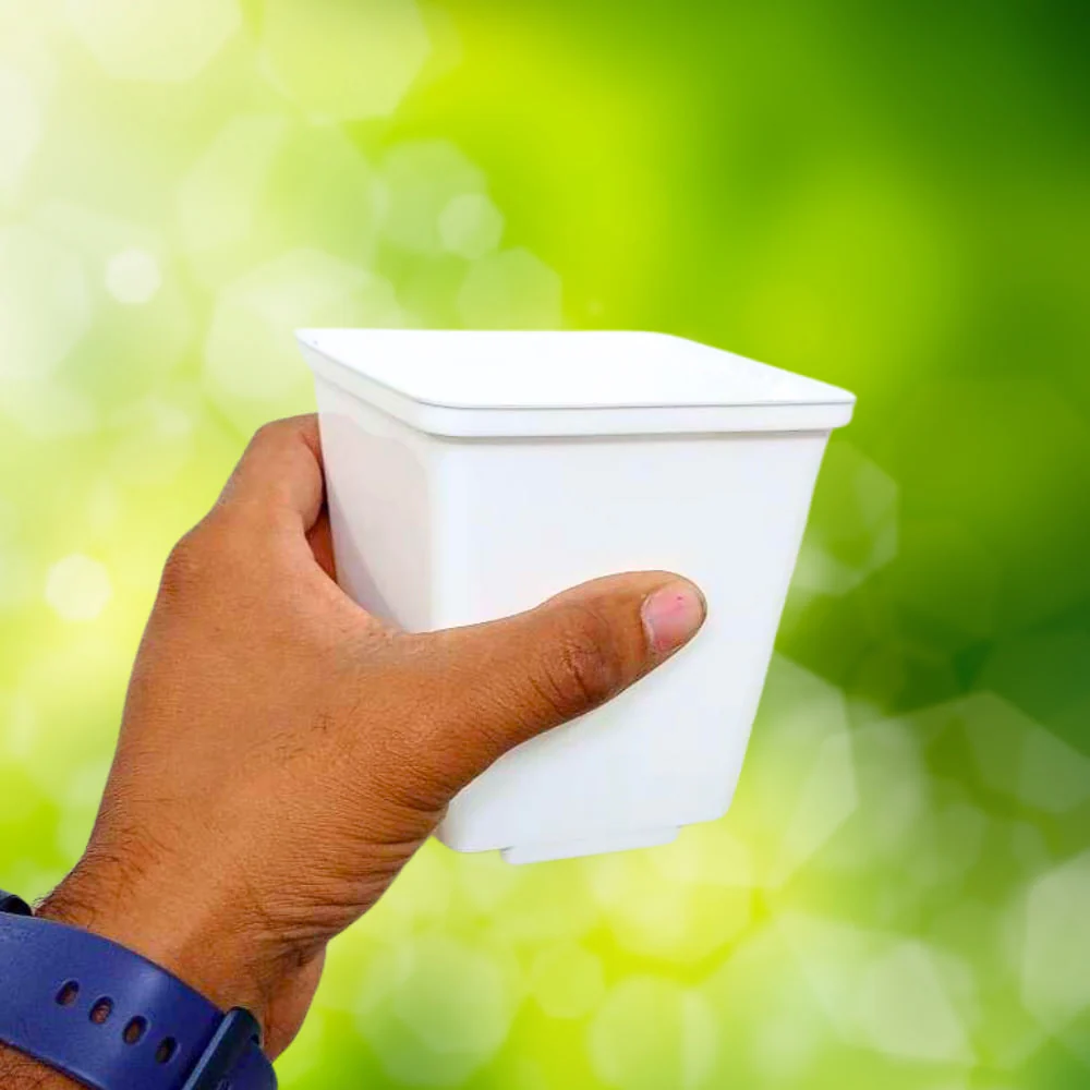 Square Nursery Pot for Seedlings (White) - Image 4