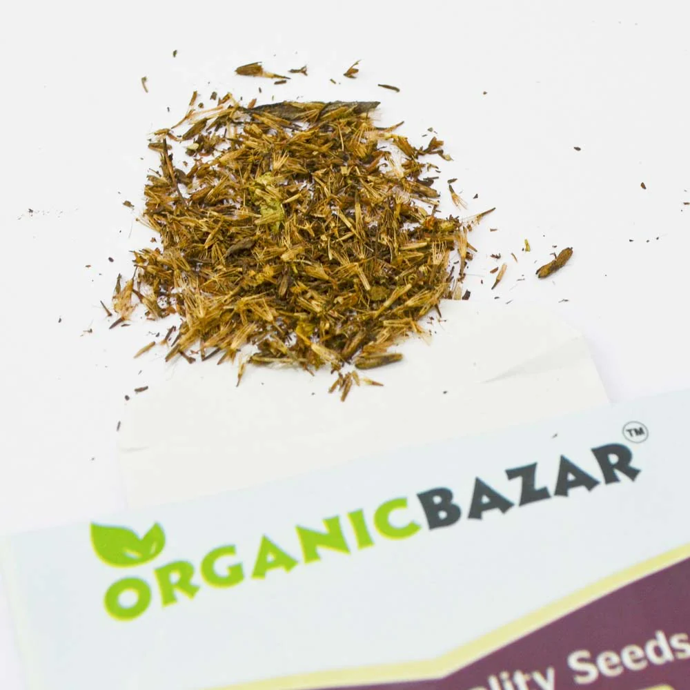 Stevia Sweet Leaves Seeds - Image 2