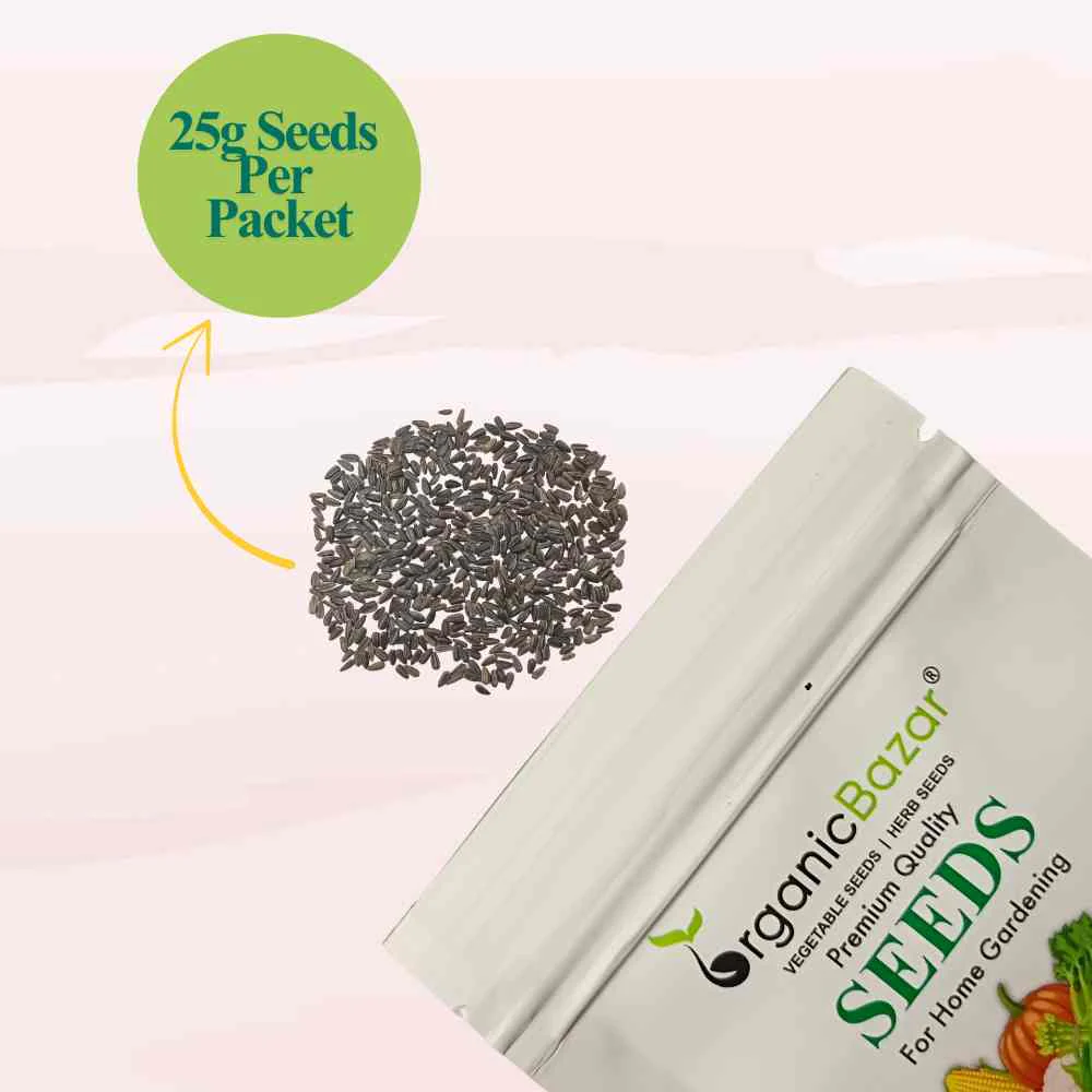 Sunflower Microgreen Seeds (25g Seeds) - Image 3