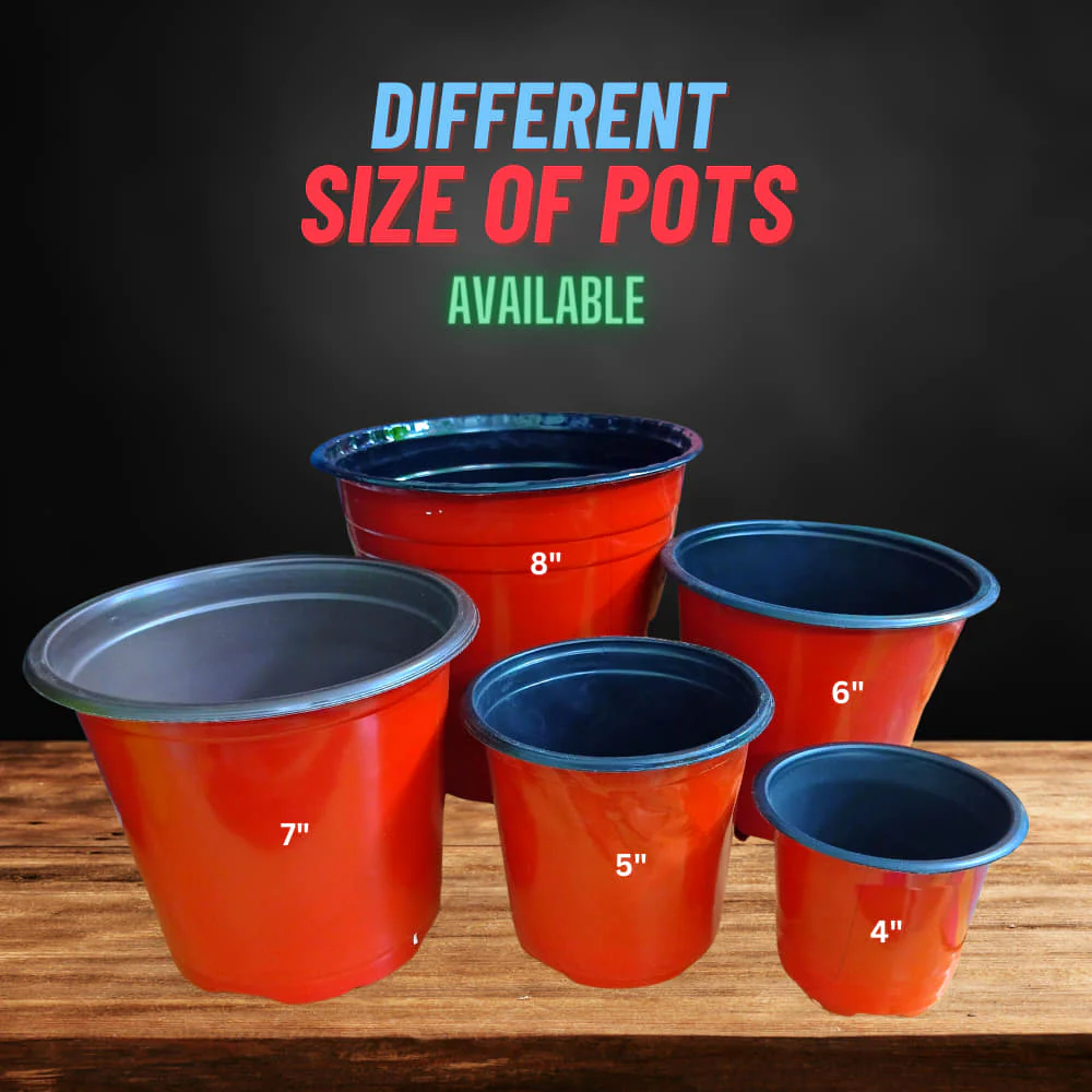 Thermoform Pot-4 Terracotta Color (Set of 20) (10cm) - Image 7