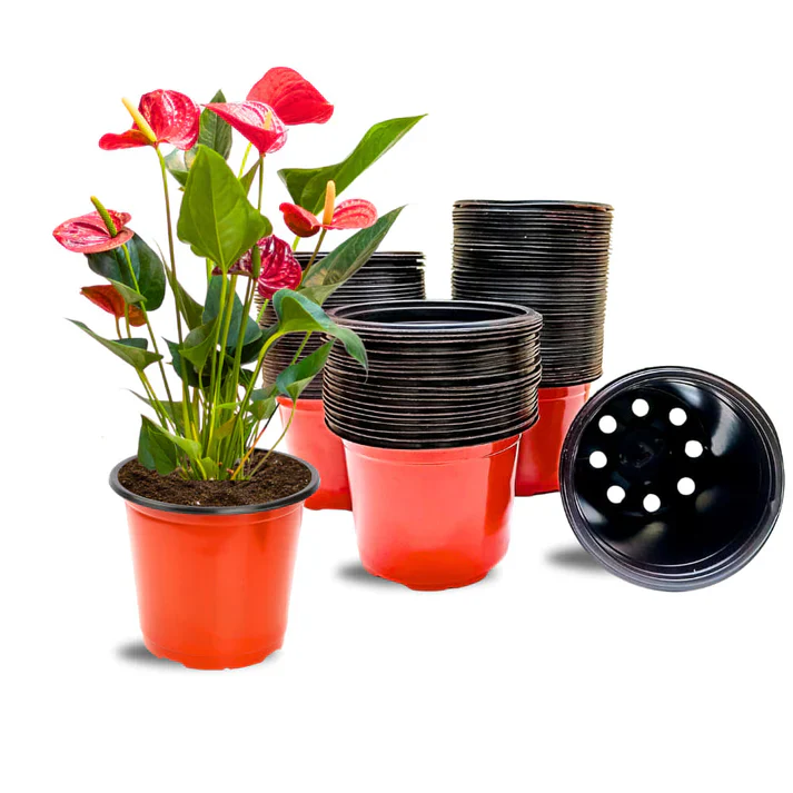 Thermoform Pot-6 Terracotta Color (Set of 20) (15cm) - Image 10