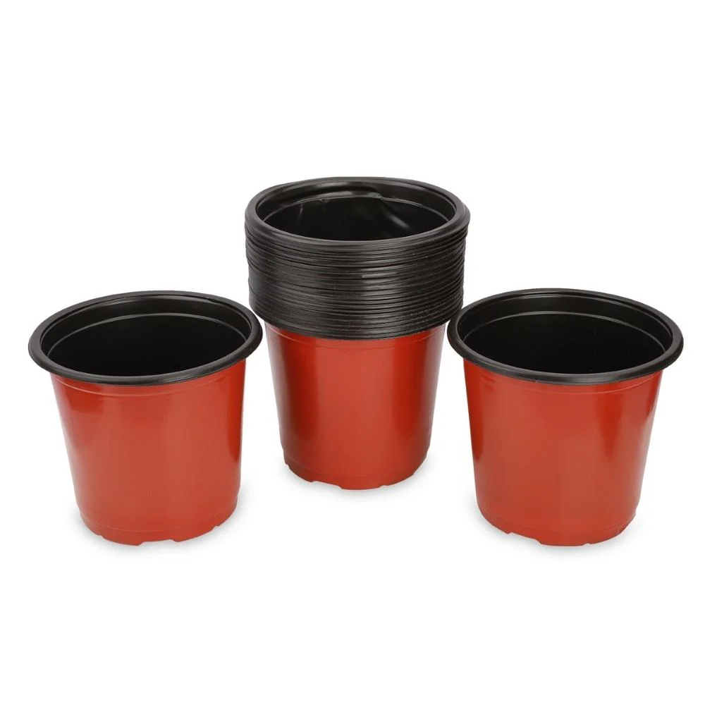 Thermoform Pot-6 Terracotta Color (Set of 20) (15cm) - Image 8
