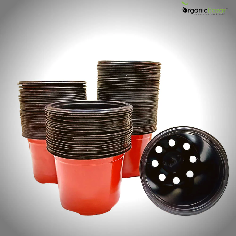 Thermoform Pot-7 Terracotta Color (Set of 20) (18 cm) - Image 5