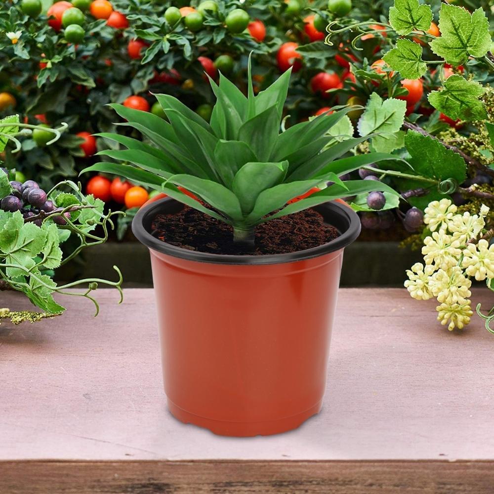 Thermoform Pot-8 Terracotta Color (Set of 10) (20 cm) - Image 7