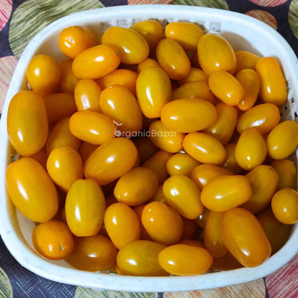 Yellow Grapes Cherry Tomato Seeds (F1 Hybrid)  - 30 Seeds (Tamatar/टमाटर के बीज) High Germination/ Easy to Grow/ Ideal for Terrace/Kitchen Gardening - Image 3