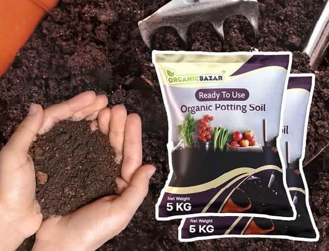 Tomatoes Growing Kit for beginners Grow Your Own Tomatoes - Perfect for Beginners - Image 5