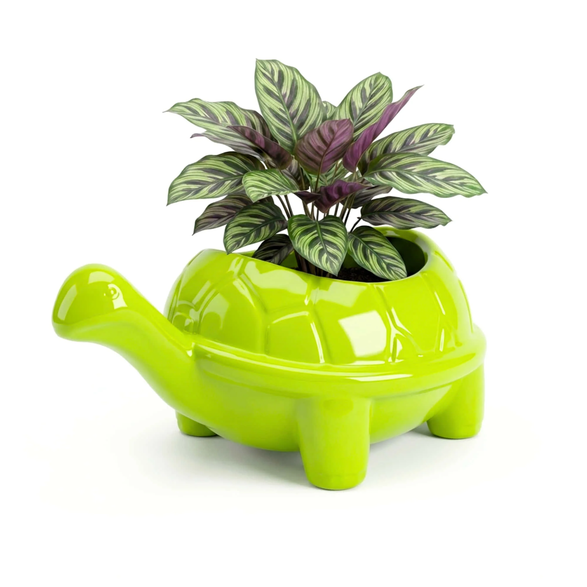 Tortoise Plastic Pot, Unique and Charming Decorative Planters, Ideal for Indoor and Outdoor Gardening or Gifting Purpose (Pack of 1, Lime  Green) - Image 3