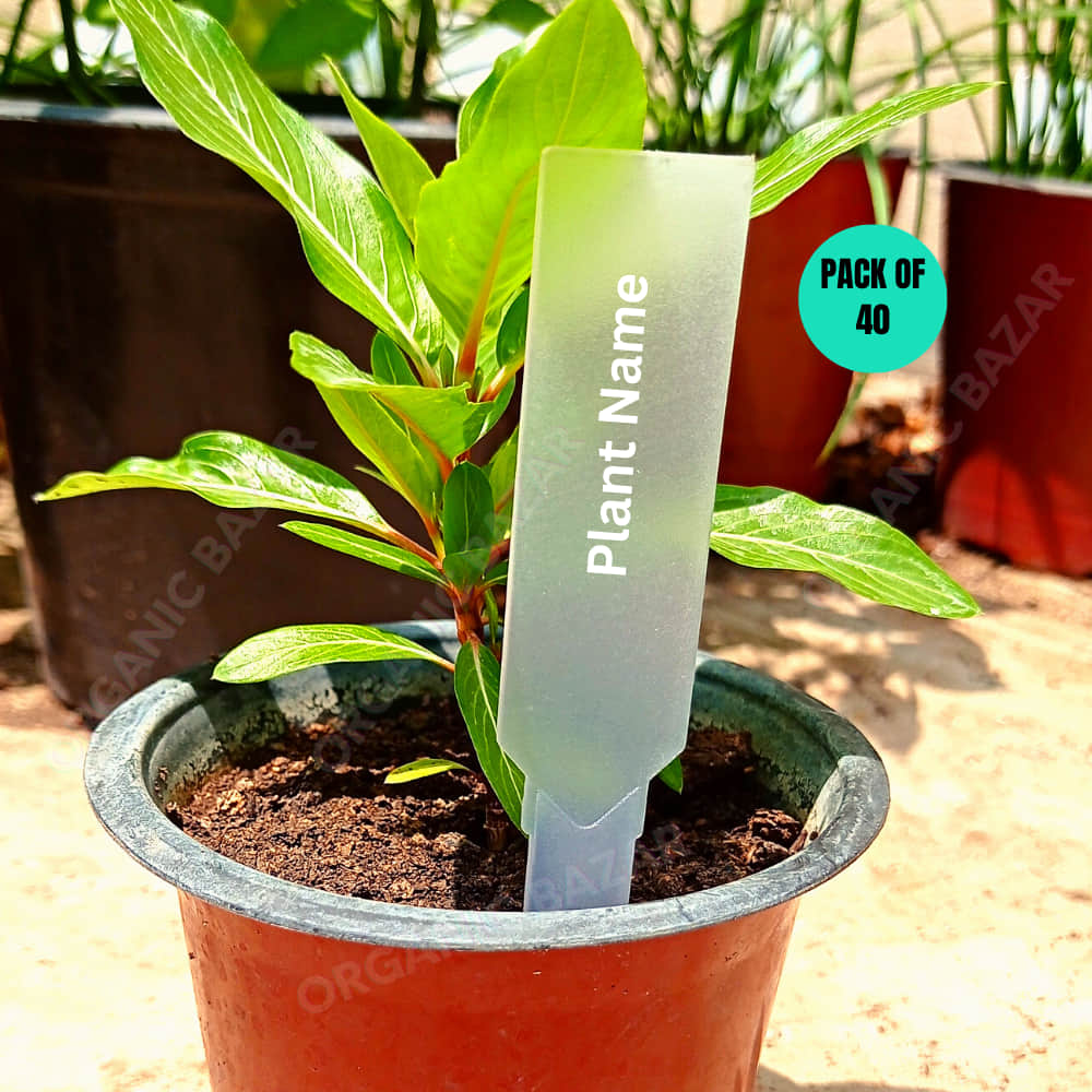Transparent Arrow shape Plant Tag Marker label for Home Gardening - Image 10