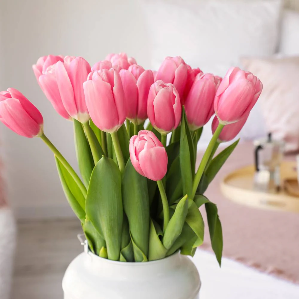 Tulip Pink Flower Bulbs (05N) Elegant Spring Blooms for Home Garden 🌷✨ - Image 3