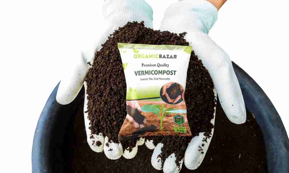 Vermicompost Fertilizer for Home garden Plants (1kg) - Image 4