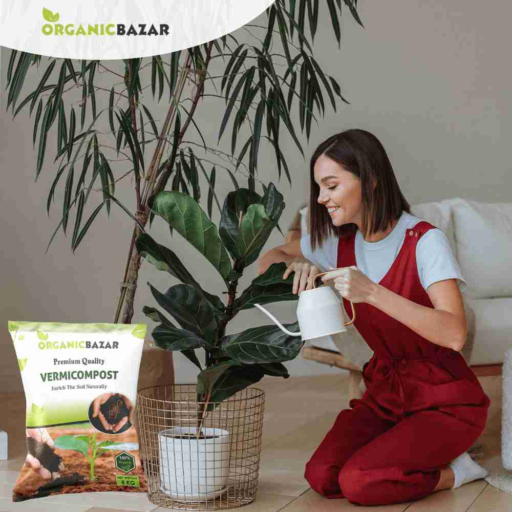 Vermicompost Fertilizer Manure for Garden Plants (2kg) - Image 5