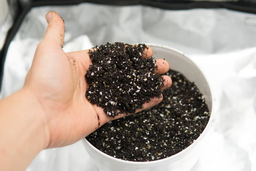 Premium Vermiculite for Vibrant and Lush Gardens (900g) - Image 3
