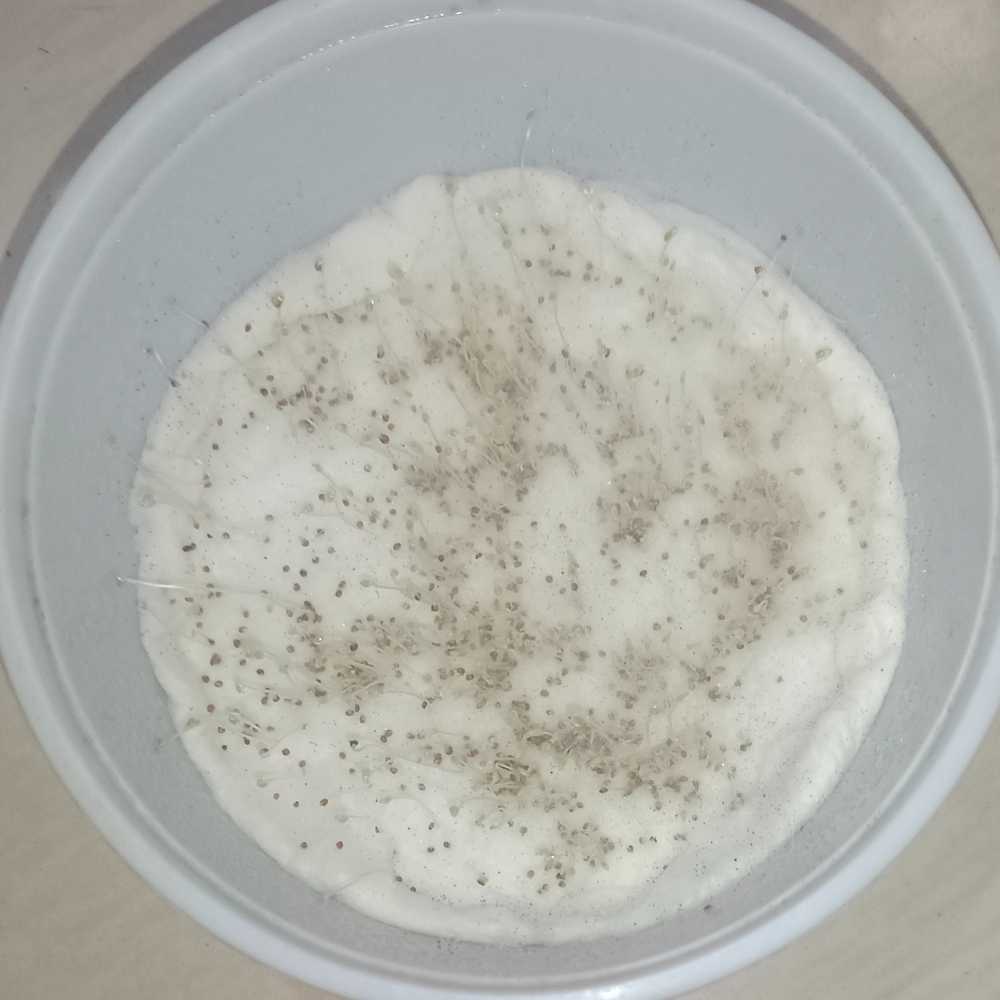 Water Cress Seeds (500 Seeds) - Image 4