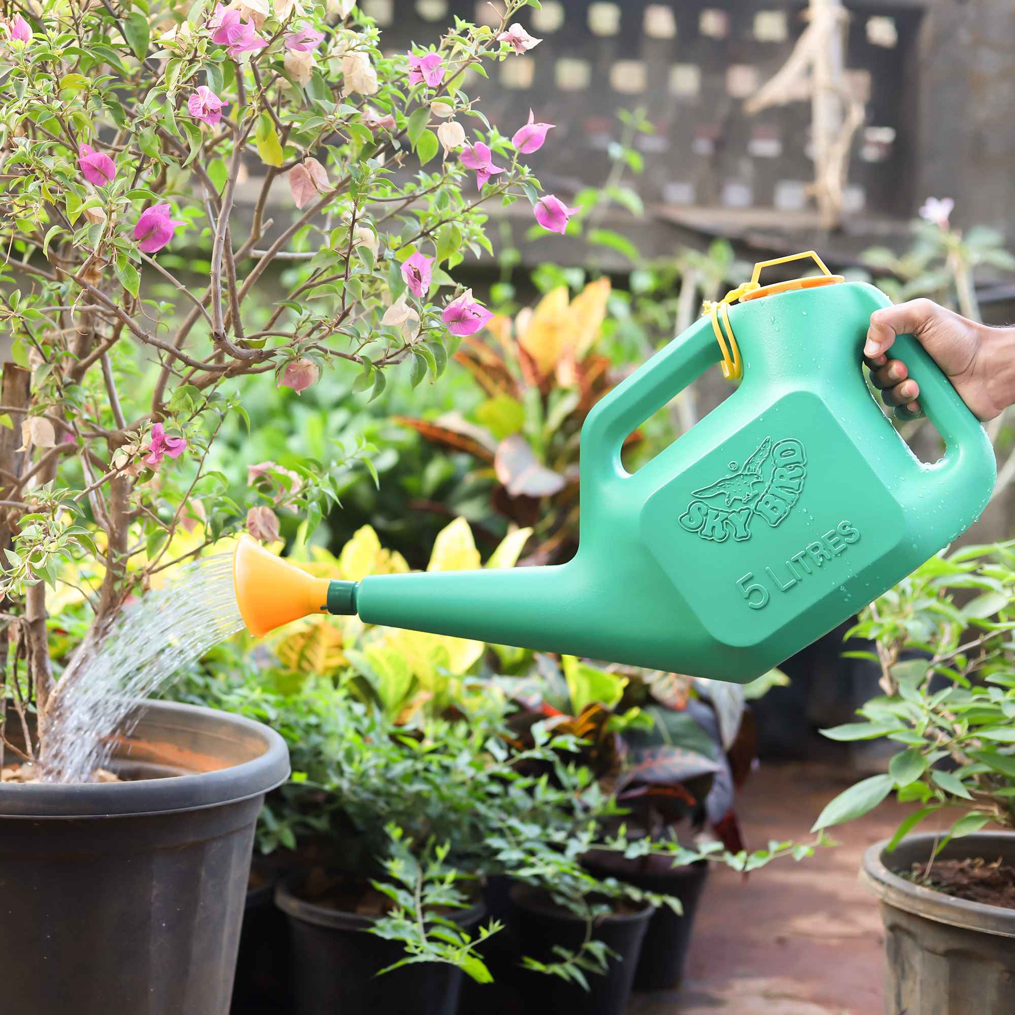 Watering Can With Detachable Sprinkler Green - Image 4