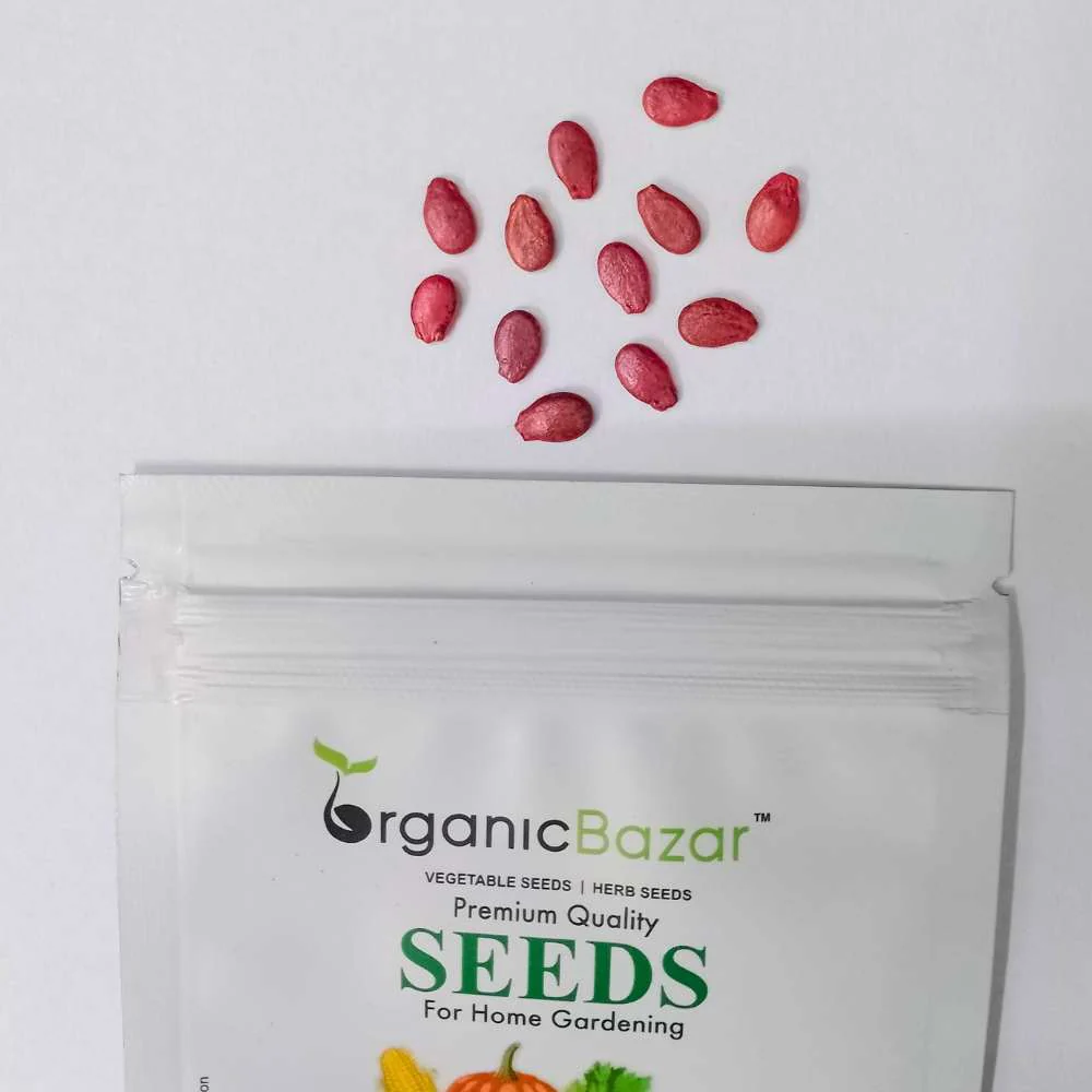 Watermelon Round Black Seeds - 12 Seeds (Tarbooj/तरबूज के बीज) - Image 3