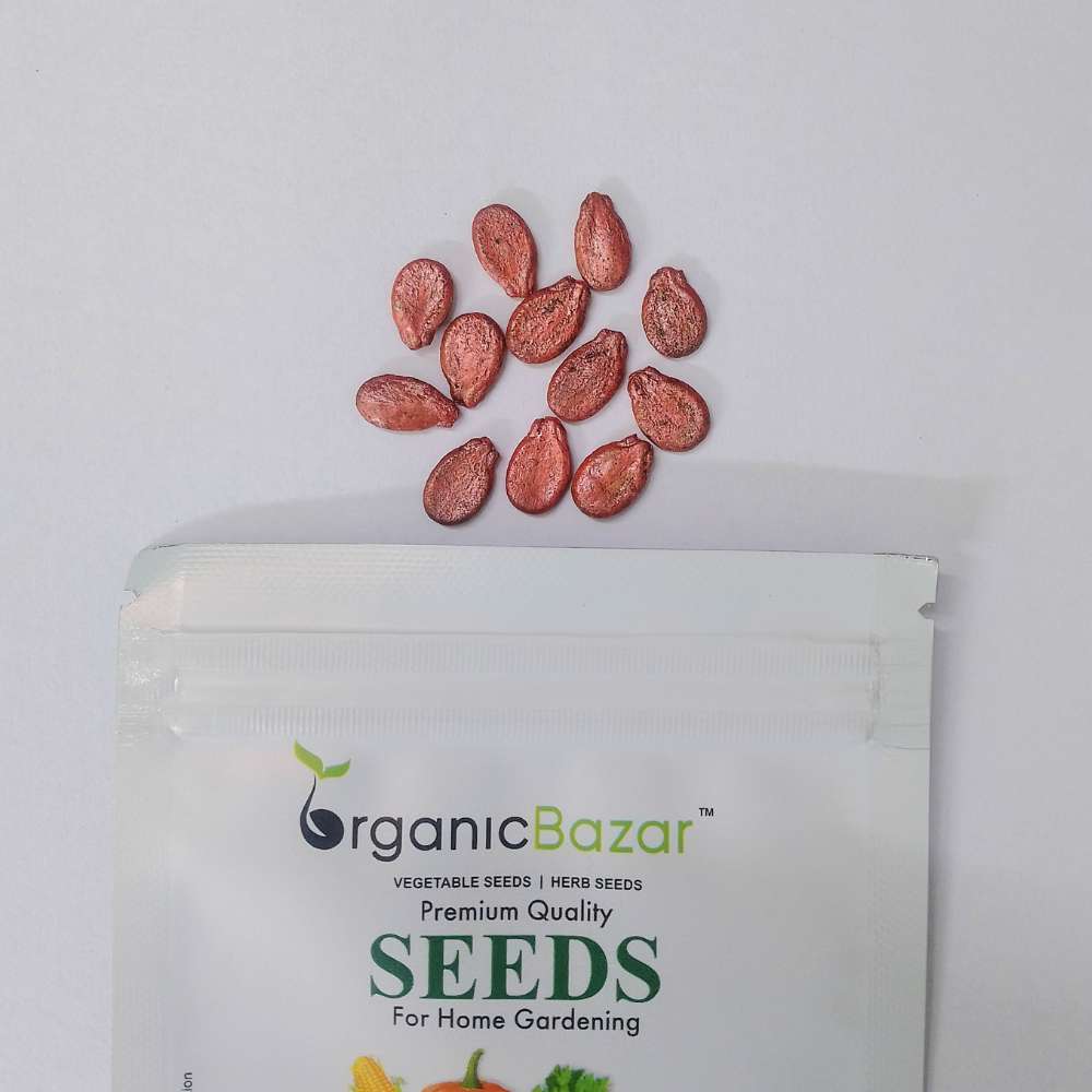 Watermelon Striped Oval Seeds - 12 Seeds (Tarbooj/तरबूज के बीज) - Image 5