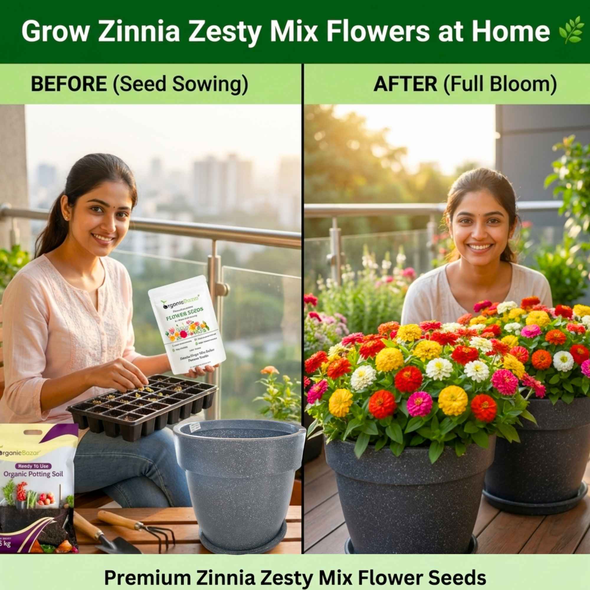 Zinnia Zesty Mix Color Flower Seeds (20 Seeds) High Germination/ Easy To grow/ Perfect for pots, balconies, or Terrace gardens - Image 3